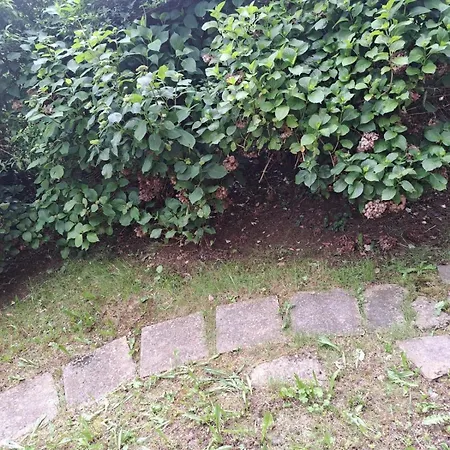 La Casa Di Toby *