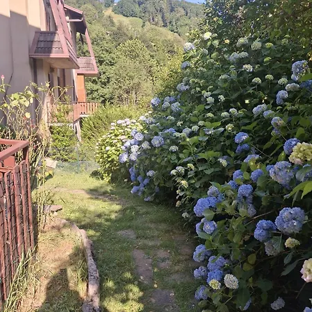 La Casa Di Toby Apartment